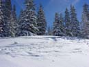 PW_Winterimpressionen-06