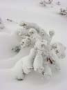 PW_Winterimpressionen-18