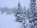 PW_Winterlandschaft-01